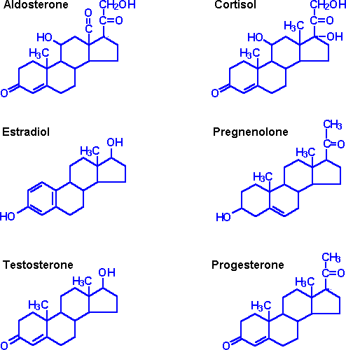 Steroid Hormones 0078